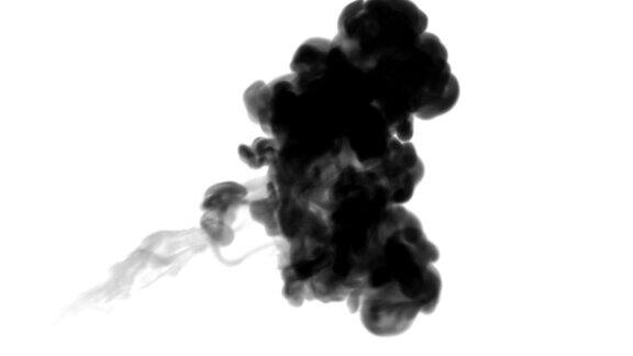 一墨流动注入黑色染料云雾或烟雾墨以慢动作注入白色颜色溶于水墨色背景或烟雾背景为墨水效果使用光磨如阿尔法蒙版
