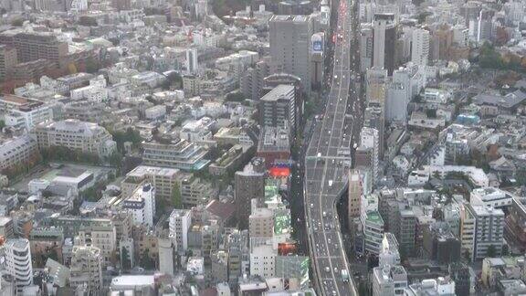 日落时东京城市的鸟瞰图