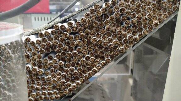 一群一群的香烟正从香烟制造商的传送带上涌出来