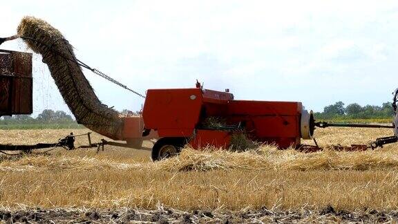 小麦收成在收获期间将卸货的小麦组合成拖拉机拖车