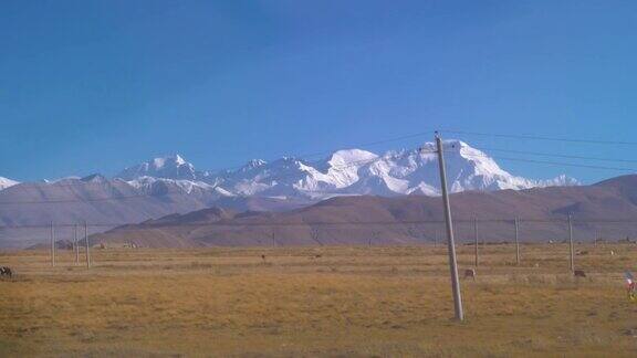 慢镜头:电线穿过青藏高原广阔的绿色平原