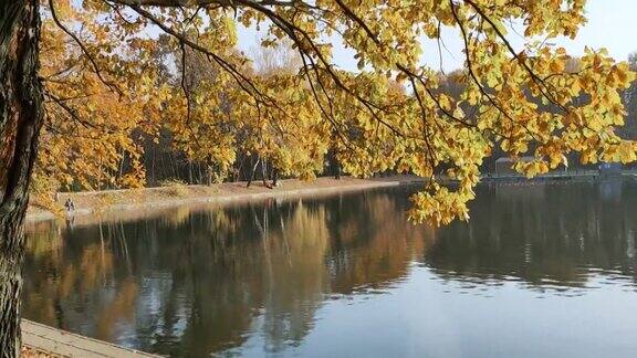 莫斯科一座城市公园的秋季景观
