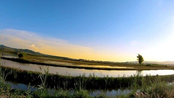 在日落、日出时沿着稻田开车