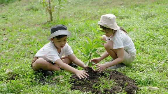 孩子们参加植树造林、保护地球的志愿者活动向孩子们灌输耐心、牺牲、做好事、热爱自然的意识