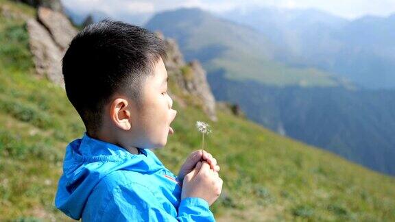 小男孩在山上吹蒲公英