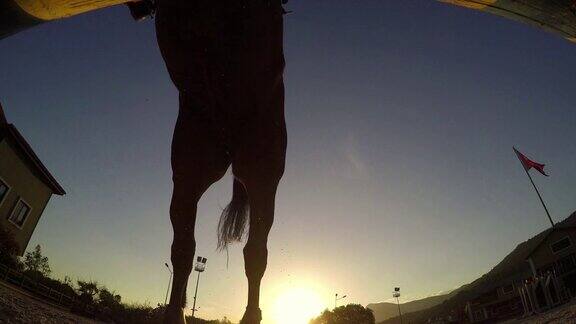 夕阳下的跨栏马骑手的剪影