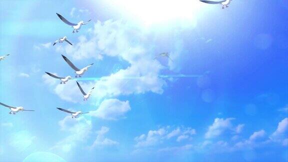鸟儿在蓝天中飞翔的剪影鸟在春云的背景鸟儿在空中飞翔