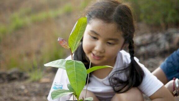 女孩和家人一起植树浇水 盆栽水瓶