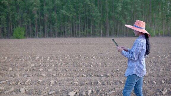 农妇用数字平板检查农场的树苗