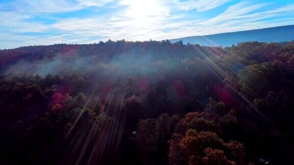 这是宾夕法尼亚州波科诺斯阿巴拉契亚山脉森林上空的雾的鸟瞰图在秋叶季节的清晨对着太阳拍摄镜头光晕和日光