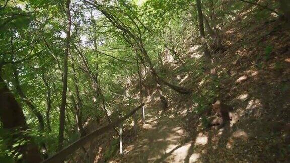 山崖旁狭窄的小路穿过绿色的森林