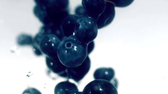 带水滴的蓝莓