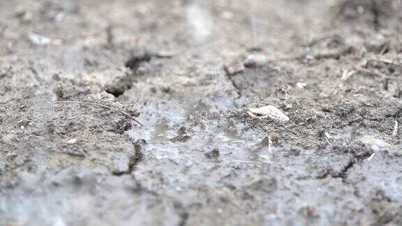 雨点落在干燥的土壤上