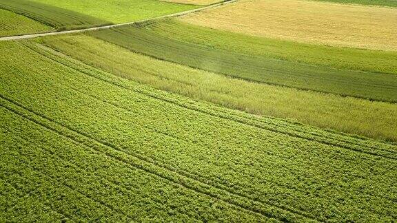高清:空中拍摄的一个乡村