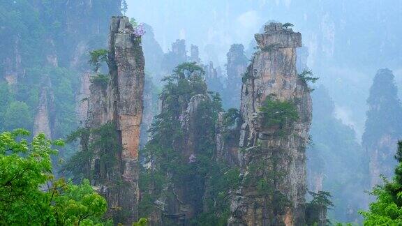 中国张家界的山景