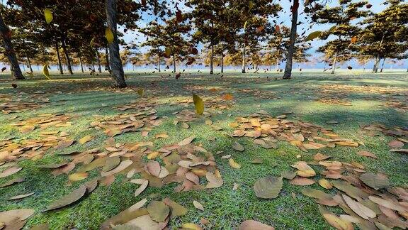 深秋的树林里金色树叶飘落的慢动作