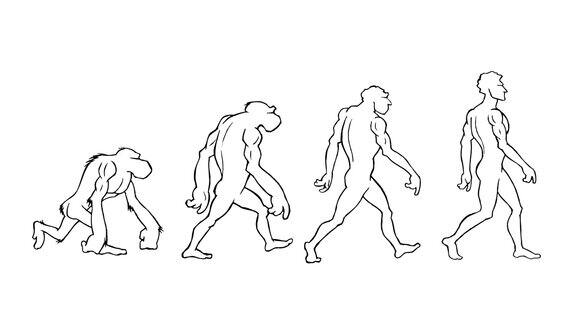 人类进化四个阶段α无光Loopable