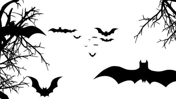 蝙蝠飞行动画月夜背景上的万圣节蝙蝠