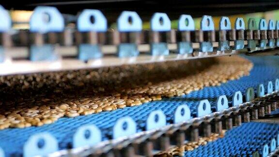 自动烘培生产线是糖果厂车间、食品生产上的甜曲奇输送带设备