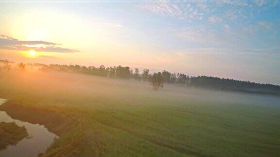 慢镜头鸟瞰图的雾蒙蒙的早晨在一个田野和河流