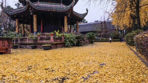 秋日的银杏落叶覆盖了庆阳宫的大地