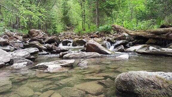 山河森林中一条闭塞的小山河周围环绕着石头和倒下的树干