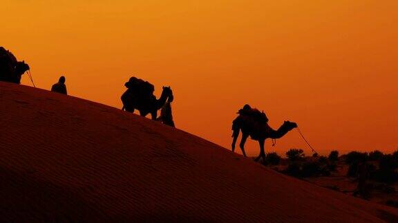 骆驼人日落时赶骆驼的人日落时分的塔尔沙漠印度拉贾斯坦邦