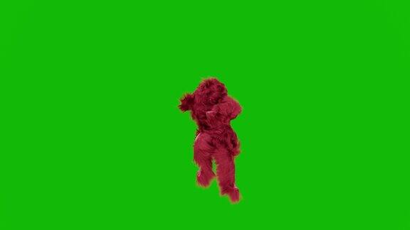 一个红色的怪物在绿色的屏幕上跳舞