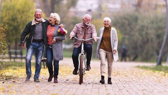 一群快乐的老年人在公园散步时聊天