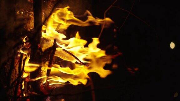 VERSLOMO的篝火在黑夜中闪烁