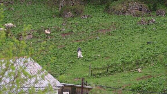 穿着婚纱的新娘和新郎手牵着手走过空地