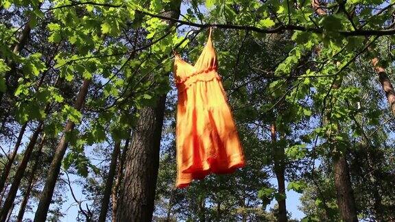 橙色的裙子在微风中摇曳