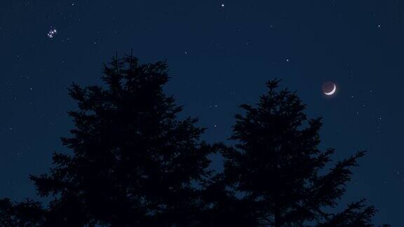 树木的轮廓星星和月亮在鲜艳的天空中