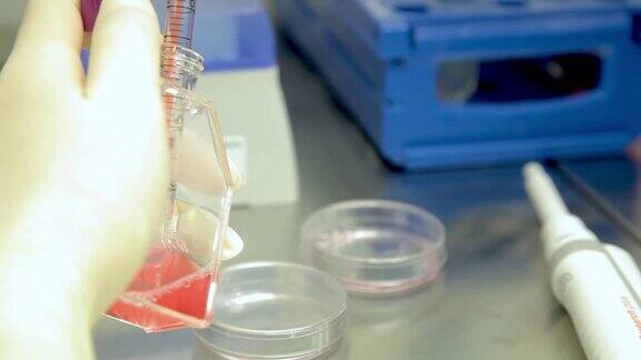 在实验室进行各种实验和测试DNA和血液测试的男人科学家