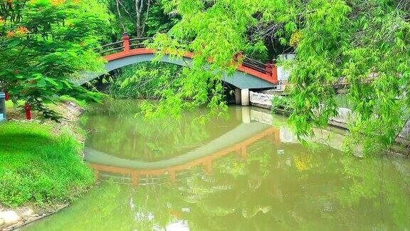 公园湖面上的倒影桥水面上的竹枝