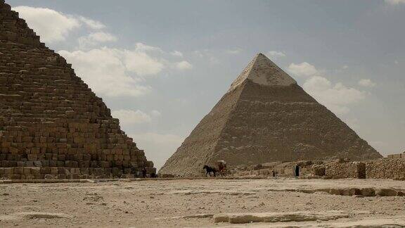 埃及开罗附近的哈夫拉金字塔和马车