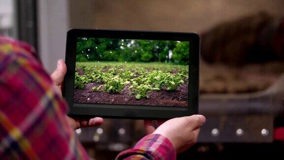近景农民手持数码平板电脑背景是土豆仓库介绍了马铃薯田间灌溉系统农业食品工业收获