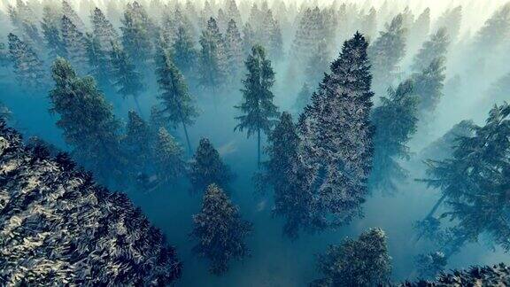 飞过白雪覆盖的森林
