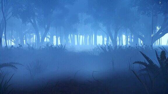 透过朦胧的夜森林
