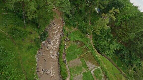 鸟瞰图热带雨林郁郁葱葱的绿色植物树顶植被山河