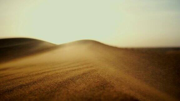 日落时分的撒哈拉沙漠