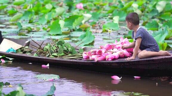 越南同塔省塔塔Muoi的大湖里越南男孩和妈妈在传统木船上玩粉色荷花花瓣的4k视频场景文化和生活理念