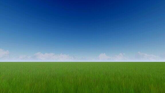 绿色的草地和清澈的蓝天