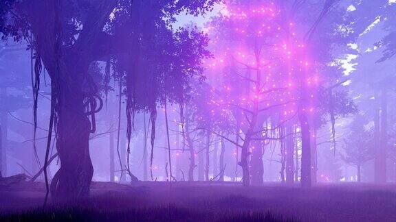 在朦胧的夜森林中幻想树有着神奇的灯光