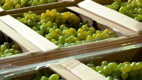 新鲜采摘的葡萄