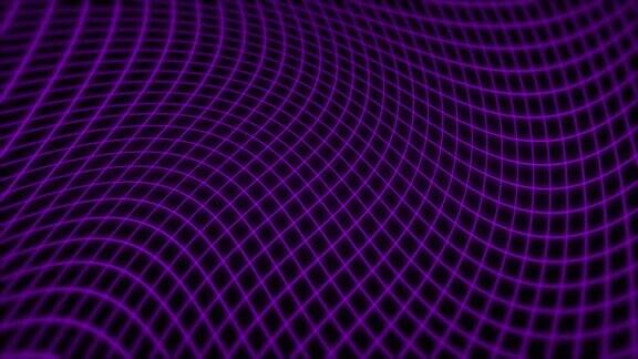 紫色天鹅绒网格波在黑色抽象流动平滑网格波丛分形波背景网格由点和线组成的网格大数据连接无缝循环动画