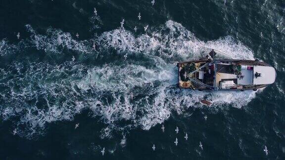 漂浮在蓝色海面上的渔船无人机鸟瞰图