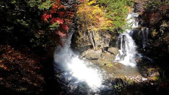 龙津瀑布在秋天与森林改变颜色的日光日本慢镜头