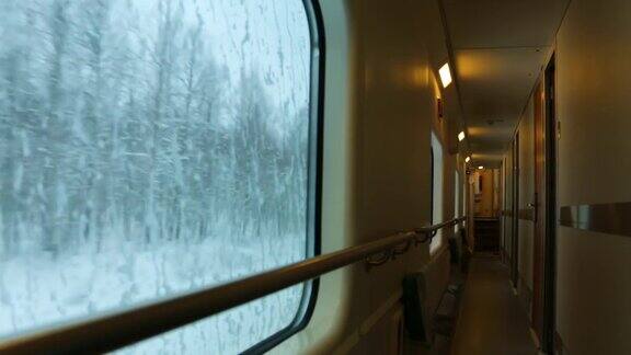 火车窗外的冬季森林