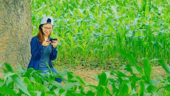一名亚洲年轻女子在玉米地里用智能手机写短信